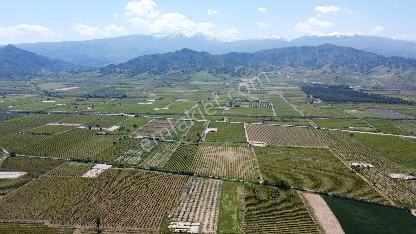 Özgün Gm'den Kabazlıda 12.420 M2 Direkli Bağ Damlama Sulamalı - Görsel 7