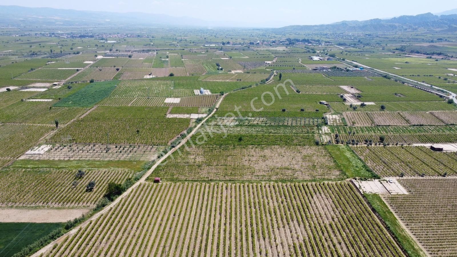 Özgün Gm'den Kabazlıda 12.420 M2 Direkli Bağ Damlama Sulamalı - Görsel 21
