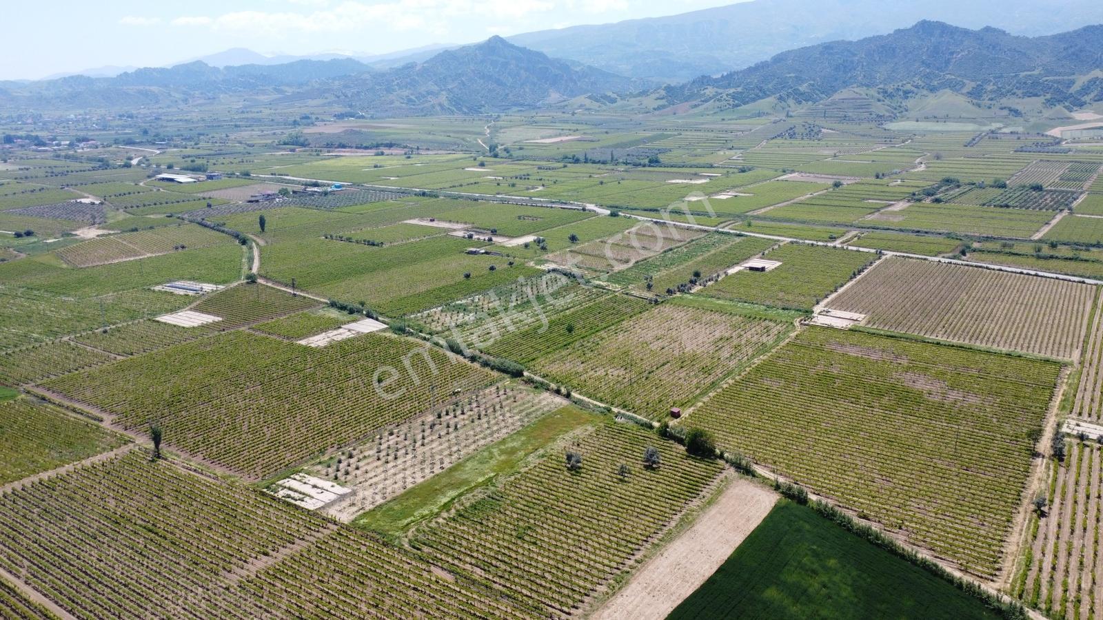 Özgün Gm'den Kabazlıda 12.420 M2 Direkli Bağ Damlama Sulamalı - Görsel 6