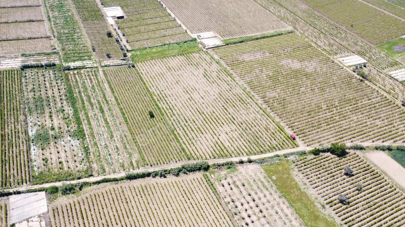 Özgün Gm'den Kabazlıda 12.420 M2 Direkli Bağ Damlama Sulamalı - Görsel 25