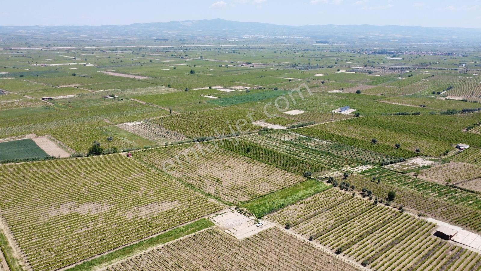 Özgün Gm'den Kabazlıda 12.420 M2 Direkli Bağ Damlama Sulamalı - Görsel 17