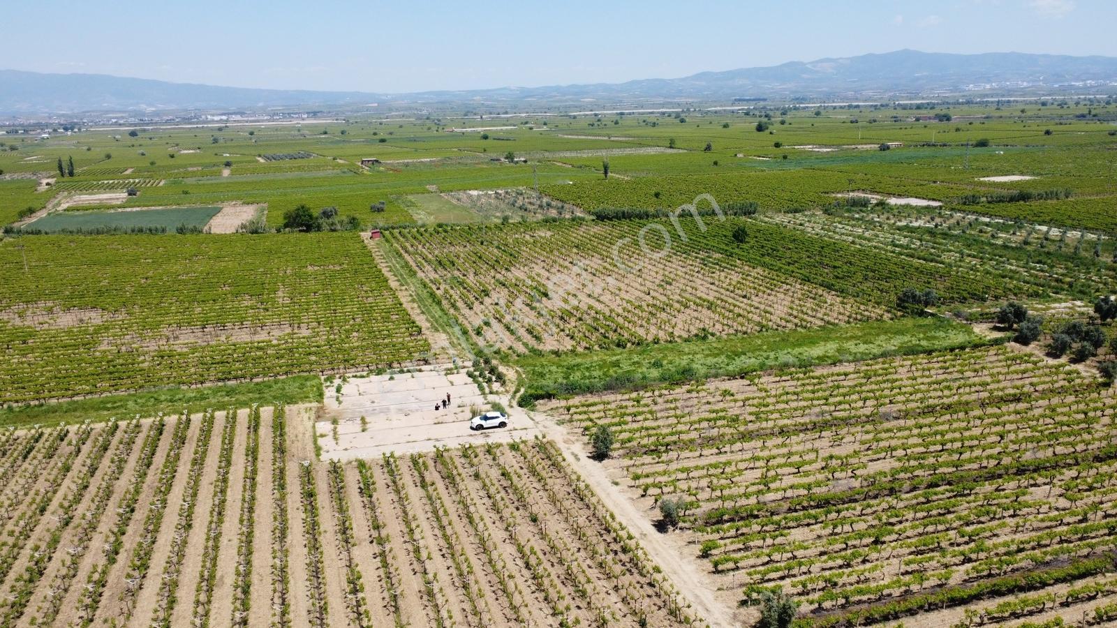 Özgün Gm'den Kabazlıda 12.420 M2 Direkli Bağ Damlama Sulamalı - Görsel 26
