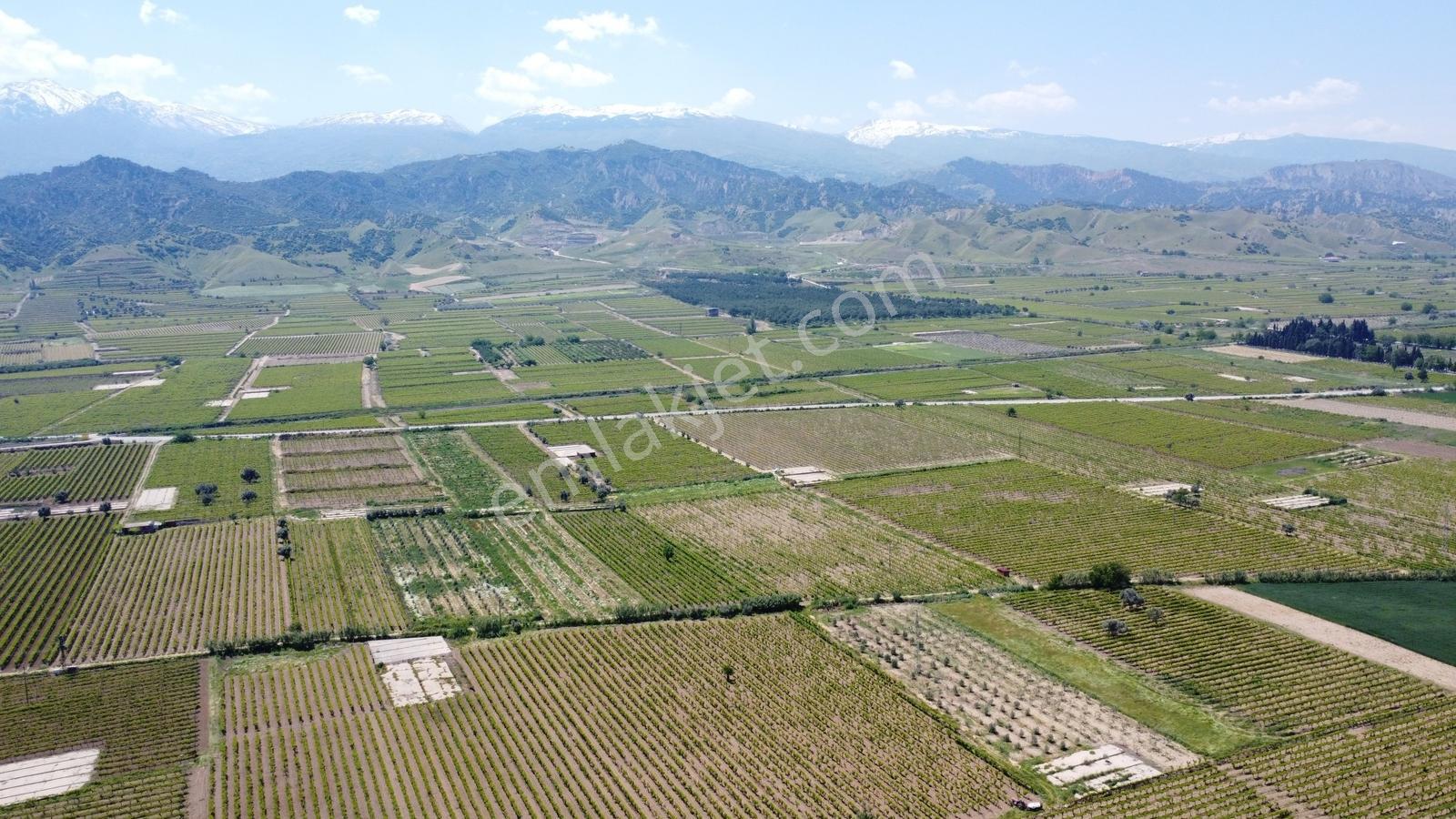 Özgün Gm'den Kabazlıda 12.420 M2 Direkli Bağ Damlama Sulamalı - Görsel 8