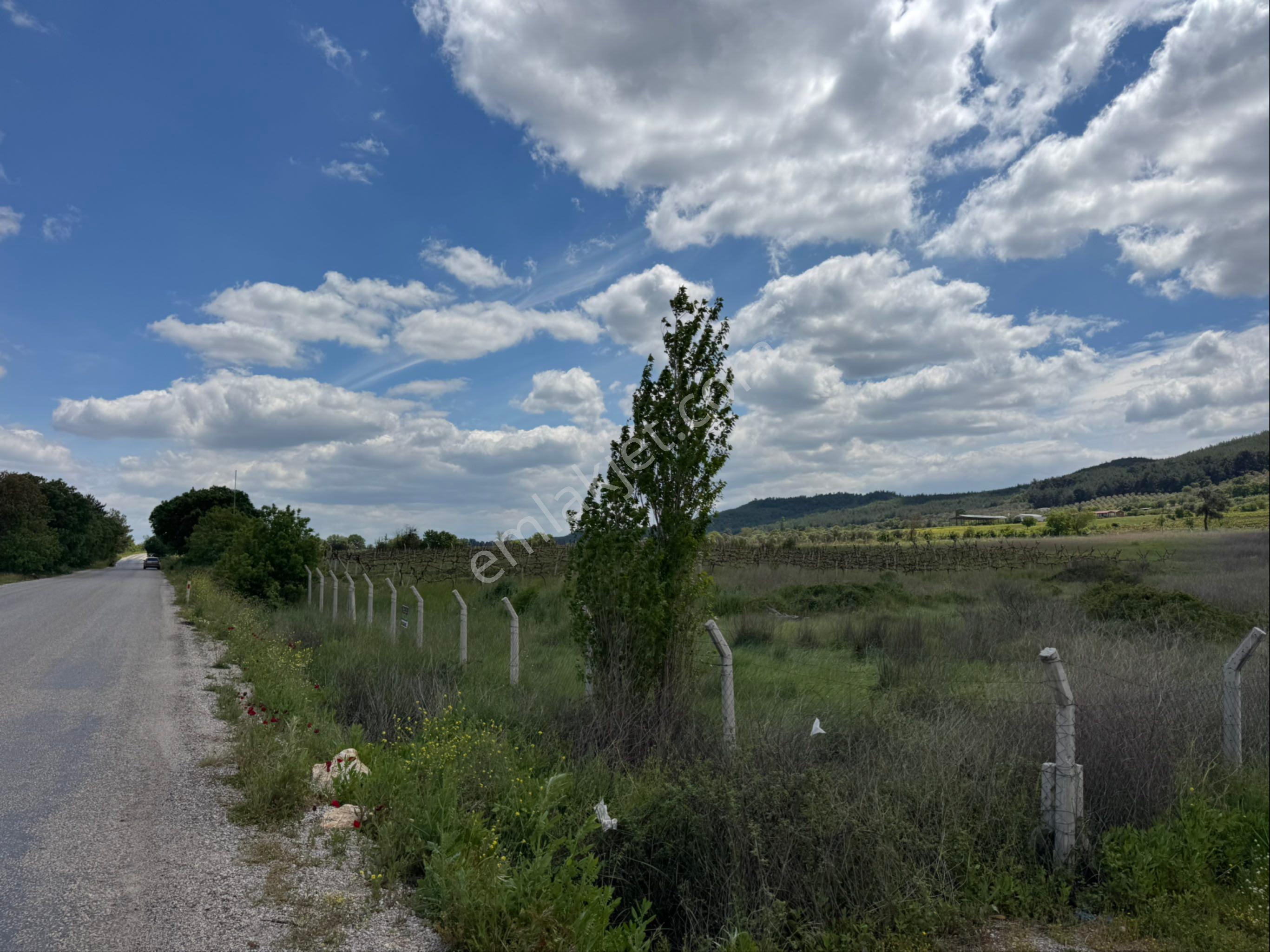 Manisa Yunusemre Ortaköy Mesire Yeri’ Ne 1 Km Cadde Üzeri Satılık Arazimiz - Görsel 5