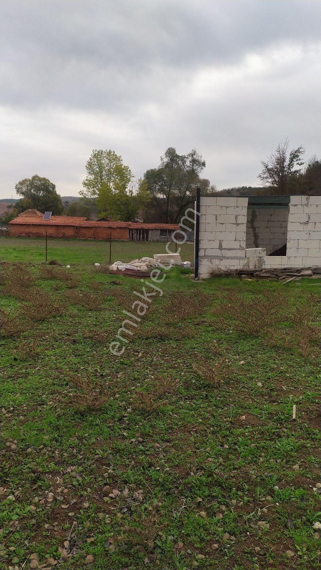 Gölpazarı Merkeze Yürüme Mesafesinde - Görsel 4