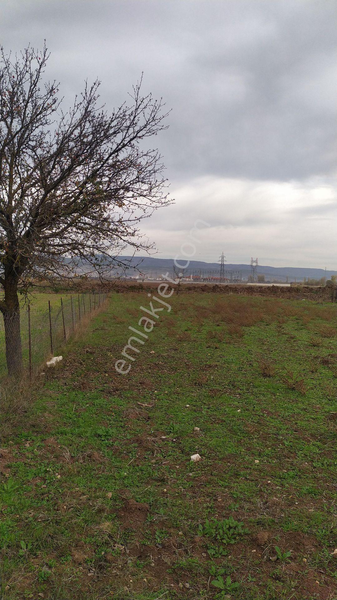 Gölpazarı Merkeze Yürüme Mesafesinde - Görsel 2
