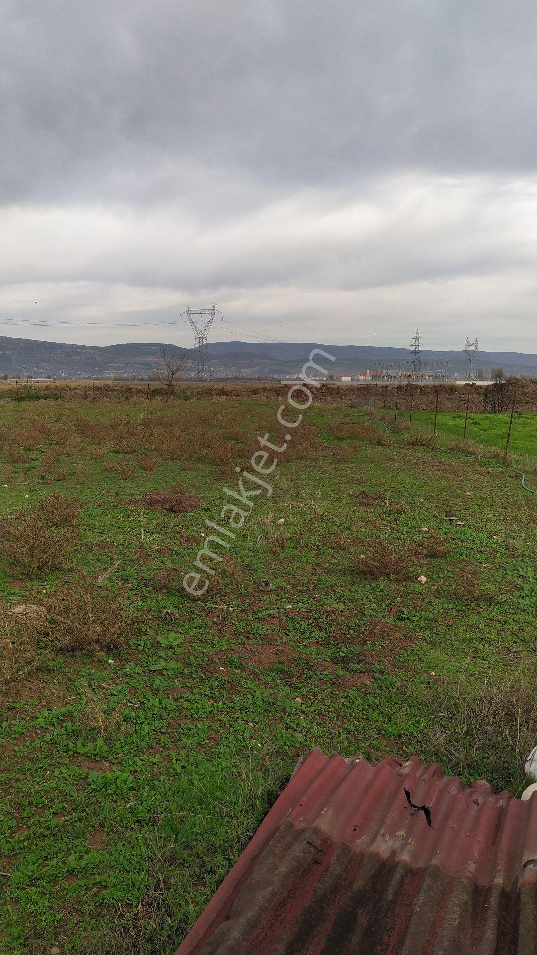 Gölpazarı Merkeze Yürüme Mesafesinde