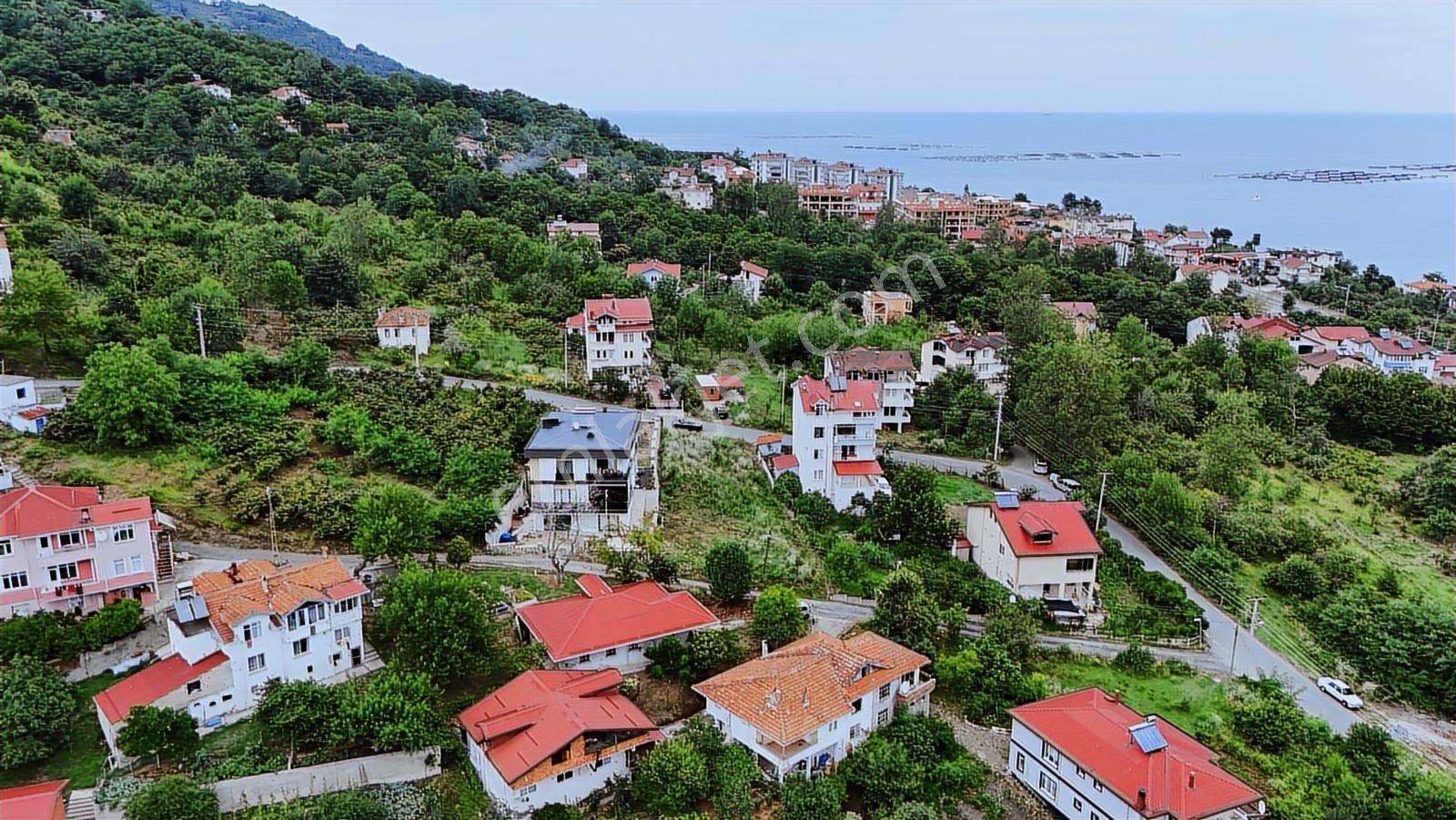 Ordu Gözdesi Perşembe'de 3 Kat İmarlı Satılık Arsa - Görsel 4