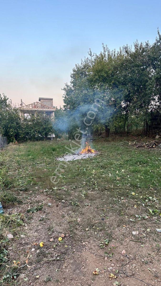 Alaçam'da Villa İmarlı 556,56 M2 Doğa İle İç İçe Fırsat Arsa - Görsel 8