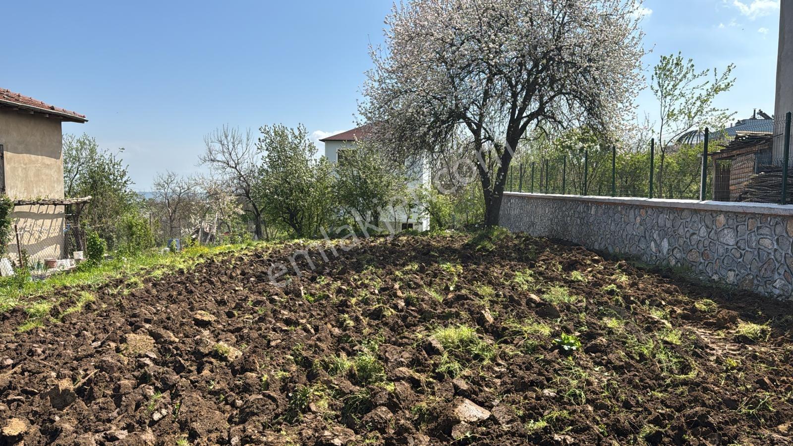 Alaçam'da Villa İmarlı 556,56 M2 Doğa İle İç İçe Fırsat Arsa - Görsel 7