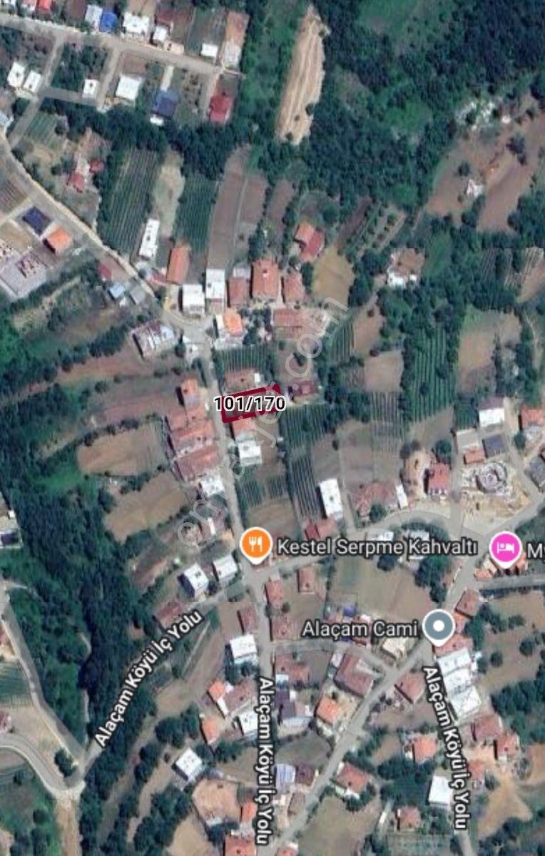 Alaçam'da Villa İmarlı 556,56 M2 Doğa İle İç İçe Fırsat Arsa - Görsel 3