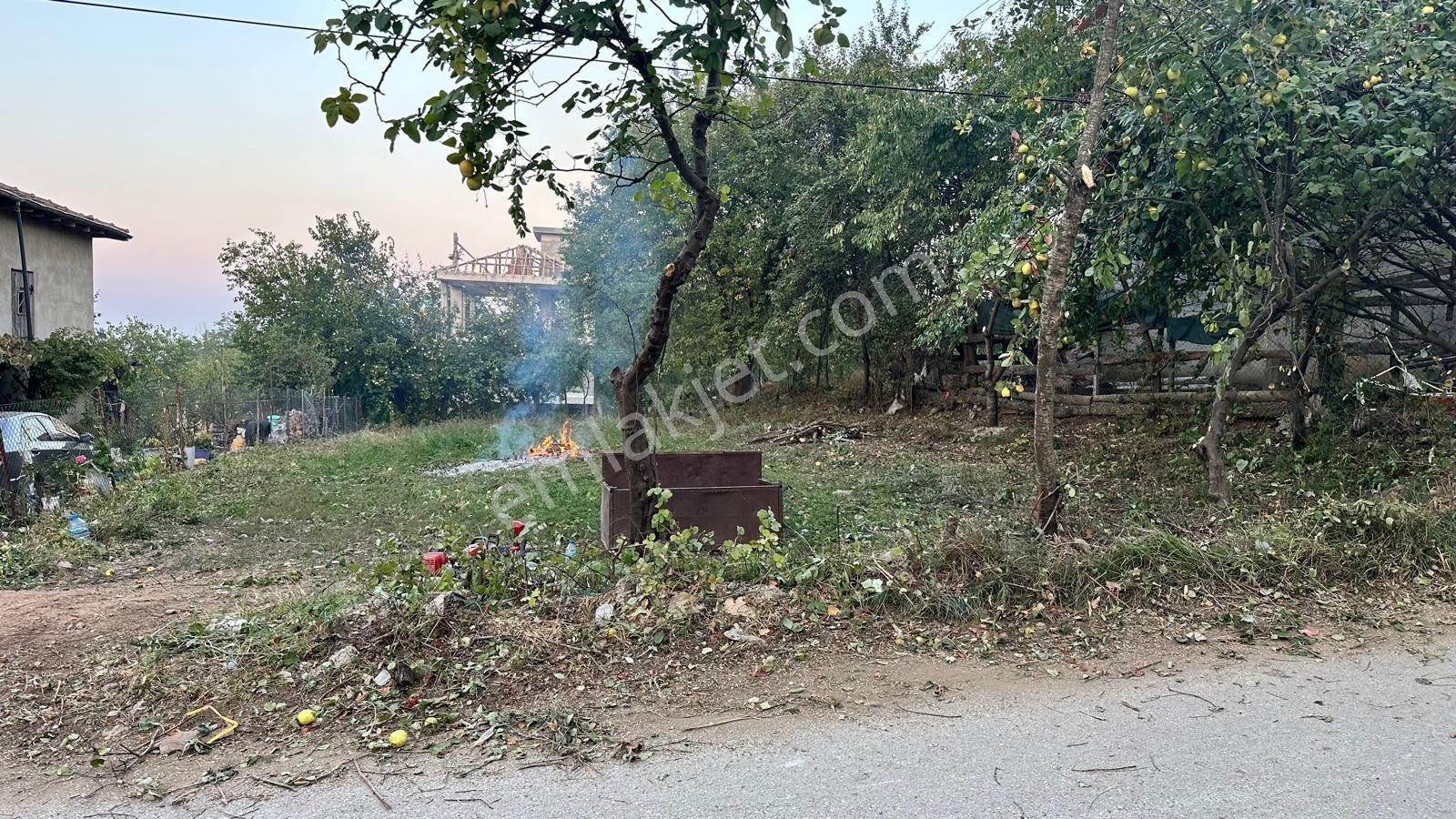 Alaçam'da Villa İmarlı 556,56 M2 Doğa İle İç İçe Fırsat Arsa - Görsel 6