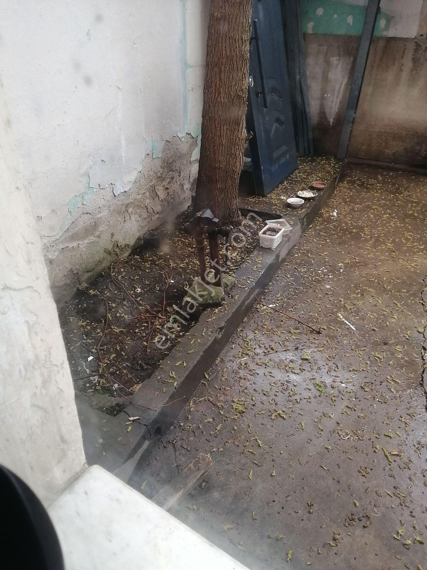 Yenişehir Merkezde Tapuda Avlulu Kargir Ev Ve Dükkan Geçen Mülk - Görsel 26