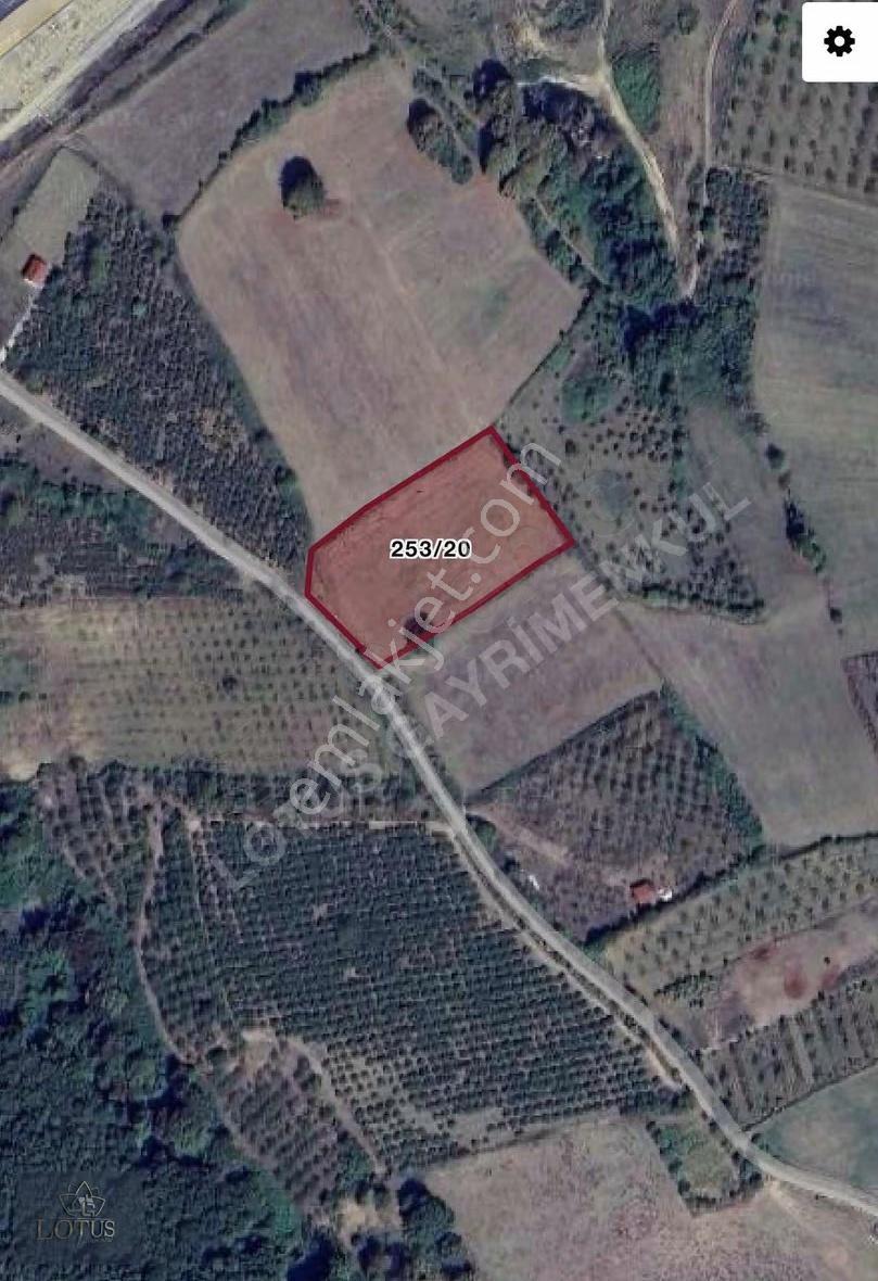 İzmit Akmeşe Atatürk Mahallesi Müstakil Tapu 6.761 M2 Yola Cephe