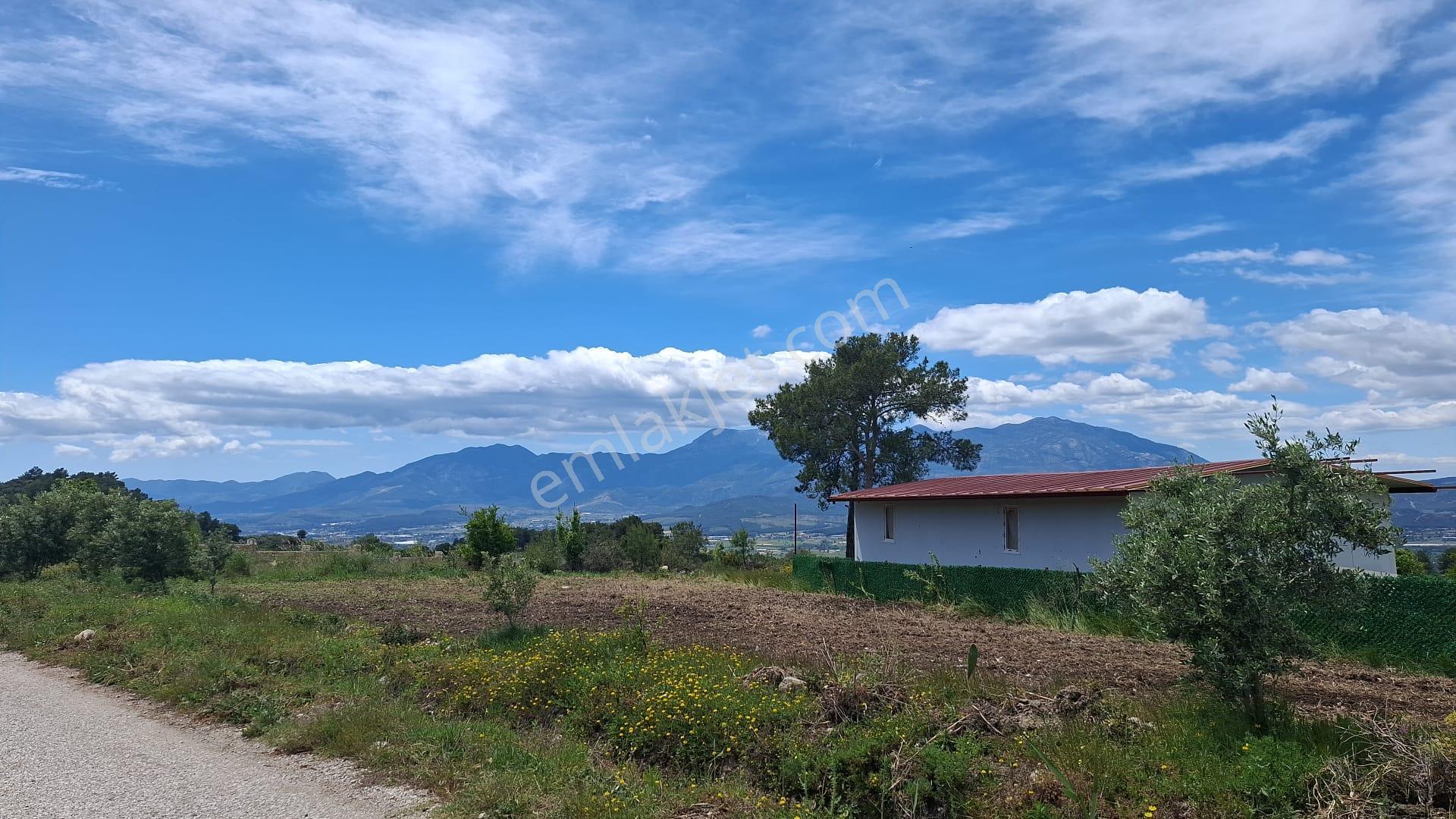 Sahibinden 14.800 M2 Muğla İli Seydikemer İlçesi Yaka Köyünde Satılık Hibe Destekli Yatırımlık Tarla