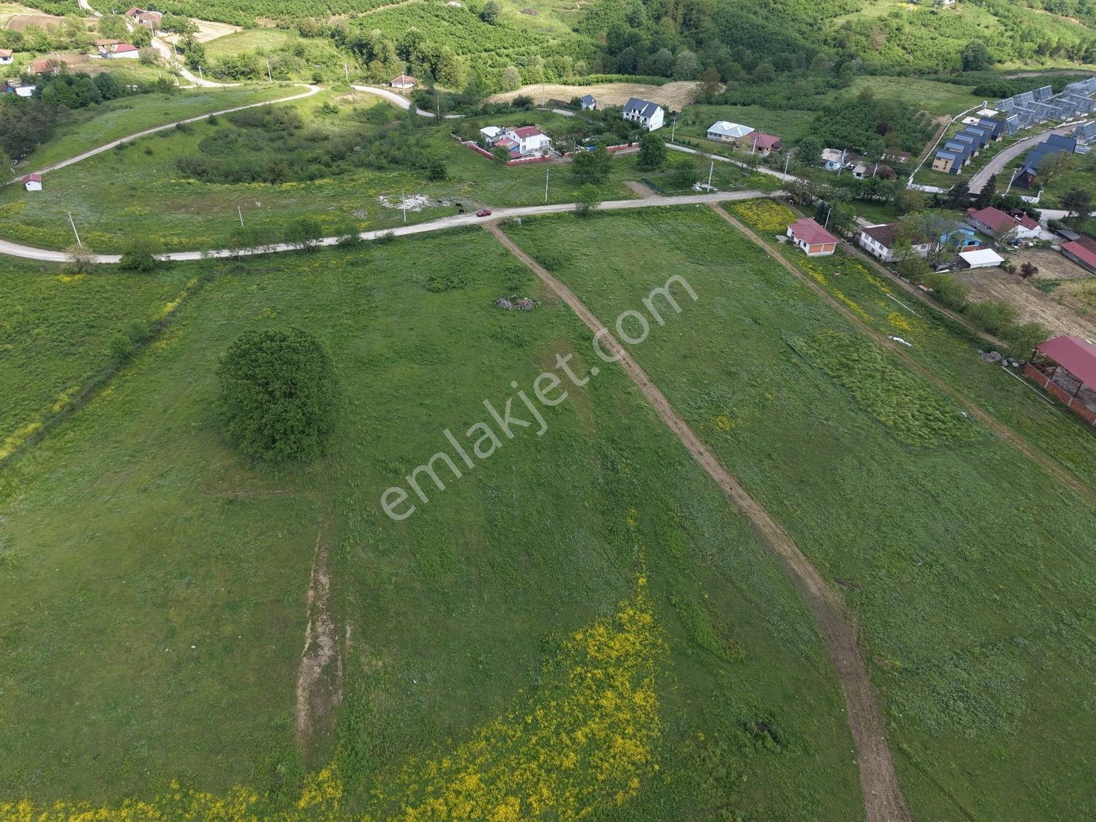 Emlak Evim Yeşilvadi Mah. 585 M2 Projeli Arsa - Görsel 3