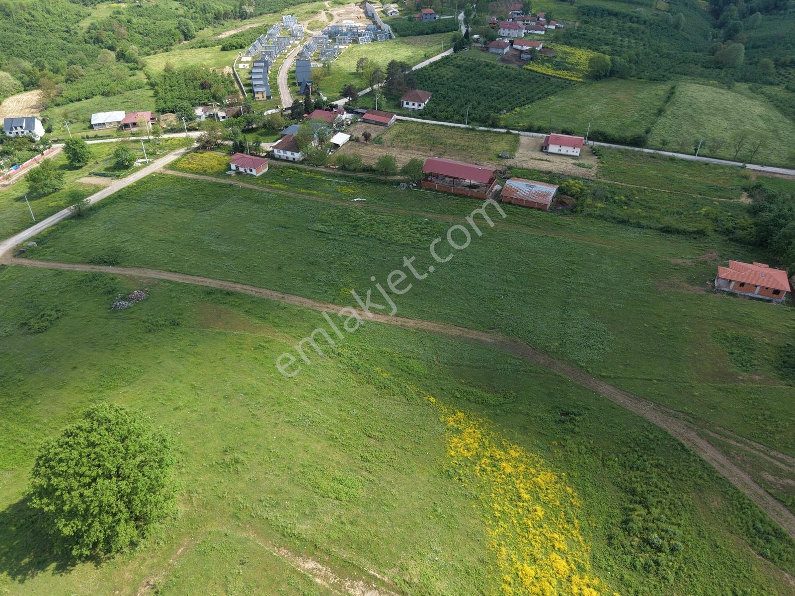 Emlak Evim Yeşilvadi Mah. 585 M2 Projeli Arsa - Görsel 8