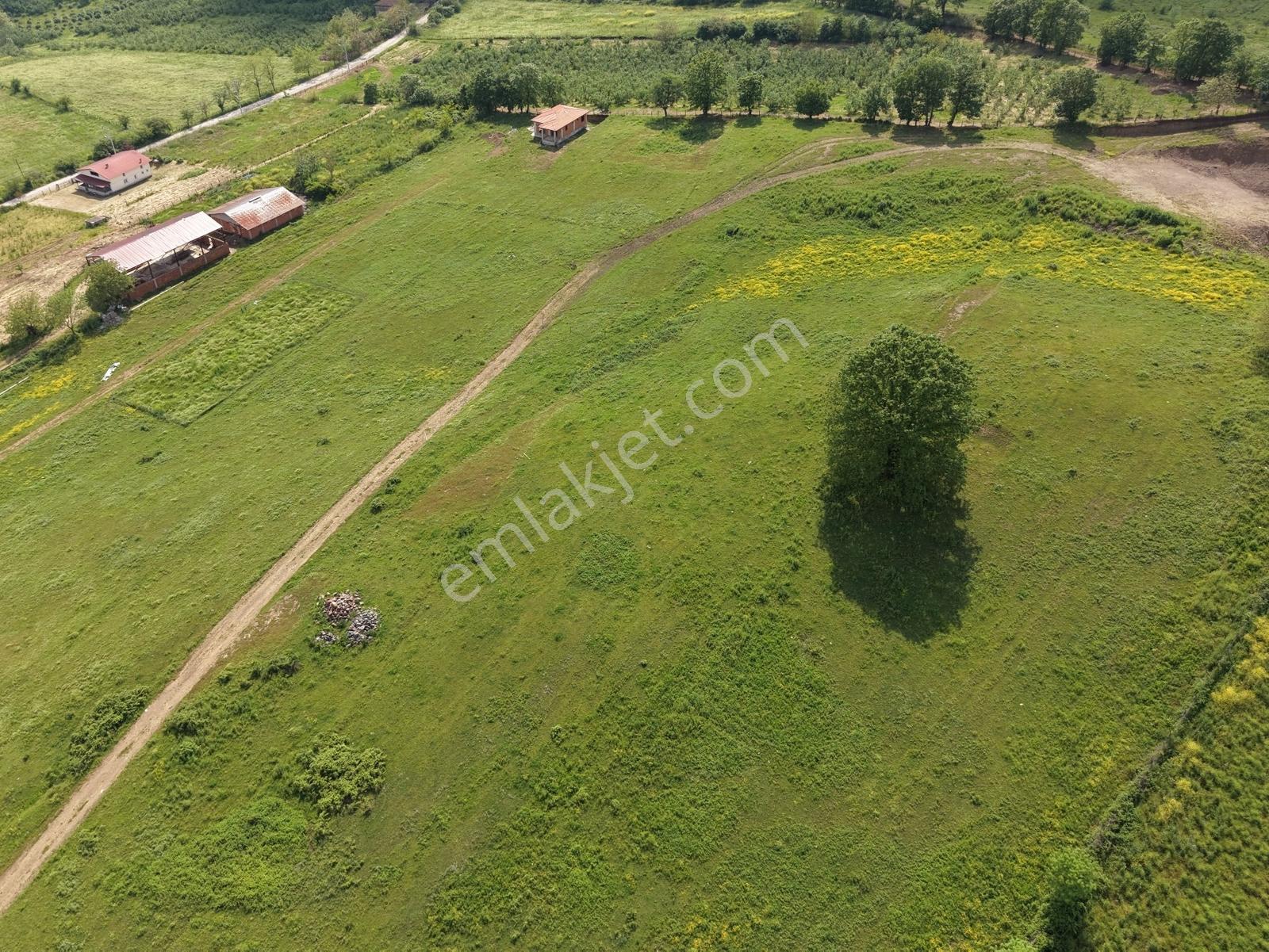 Emlak Evim Yeşilvadi Mah. 585 M2 Projeli Arsa - Görsel 6