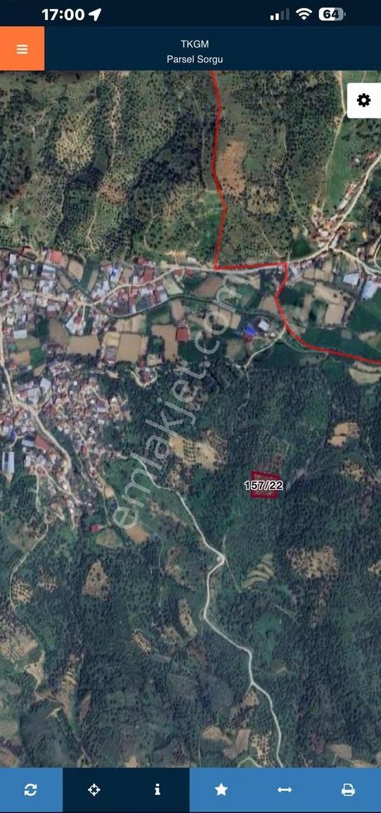 Pek Emlaktan Kelepir Fiyata 2400 M2 Satılık Bakımlı Zeytin Lik - Görsel 2