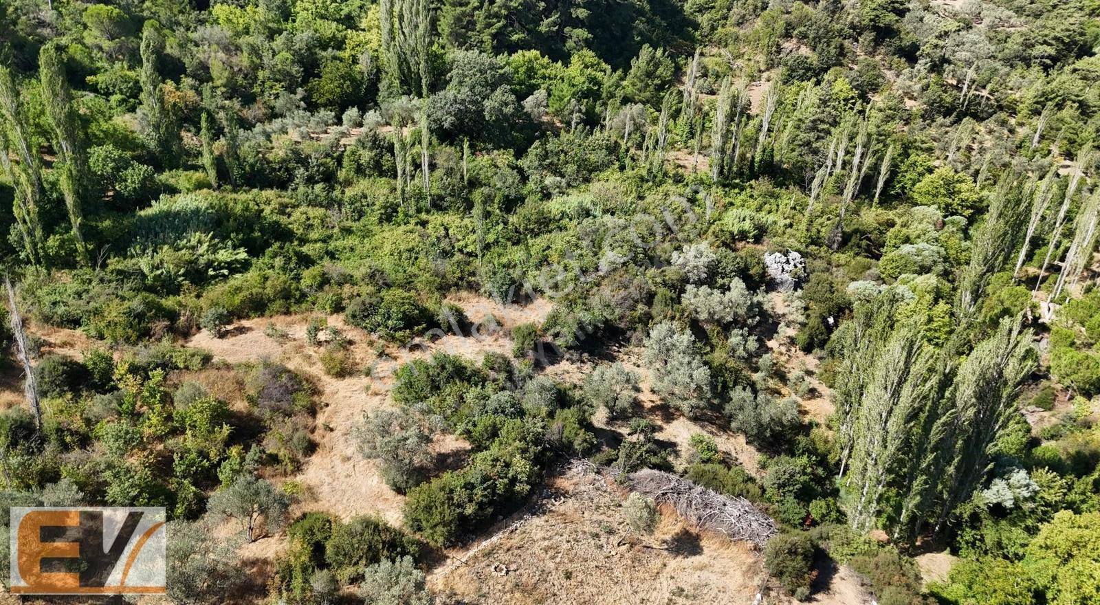İzmir Bergama Alhatlı Yolu Olan 476 M2 Bahçe - Görsel 2