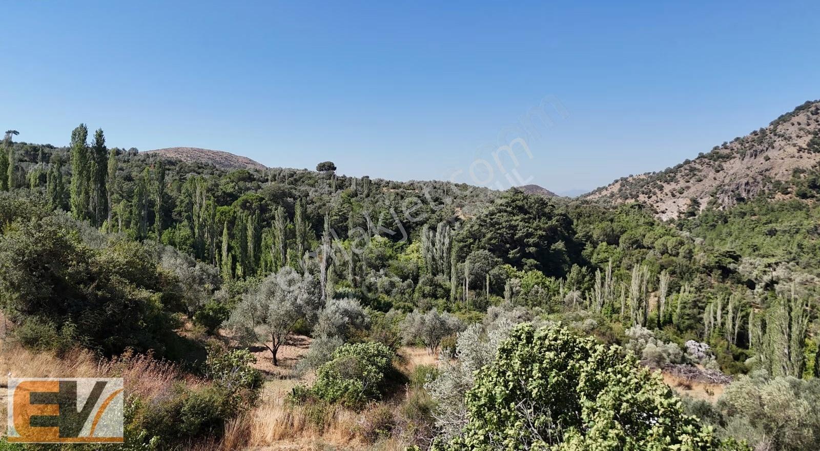 İzmir Bergama Alhatlı Yolu Olan 476 M2 Bahçe - Görsel 14