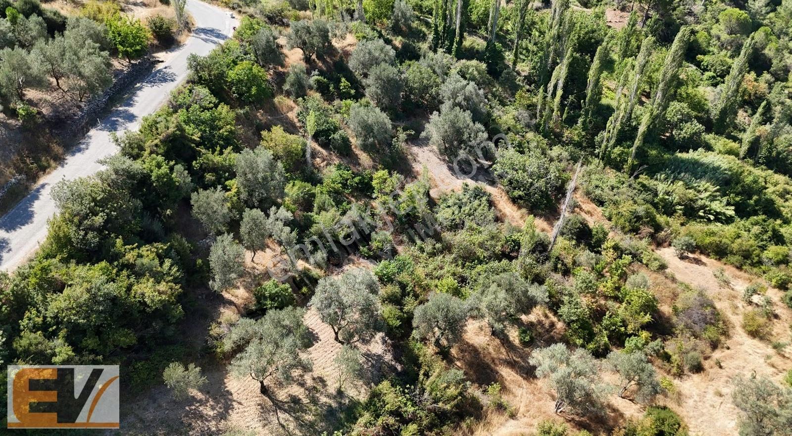 İzmir Bergama Alhatlı Yolu Olan 476 M2 Bahçe - Görsel 13
