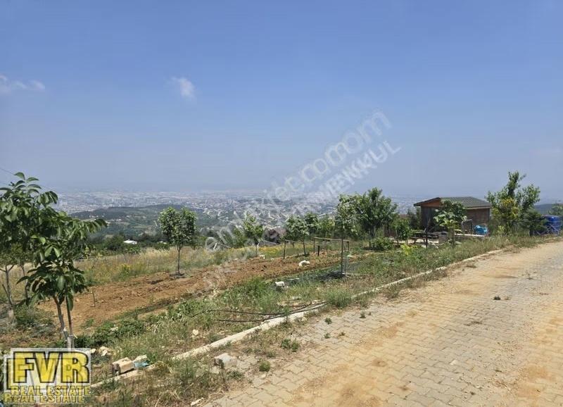 Fvr'den Nilüfer Dağyenice 300 M2 Hobi Bahçesi Kooperatif Hisseli - Görsel 31
