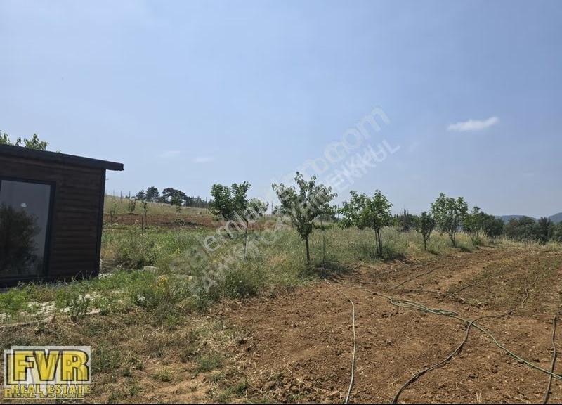 Fvr'den Nilüfer Dağyenice 300 M2 Hobi Bahçesi Kooperatif Hisseli - Görsel 10