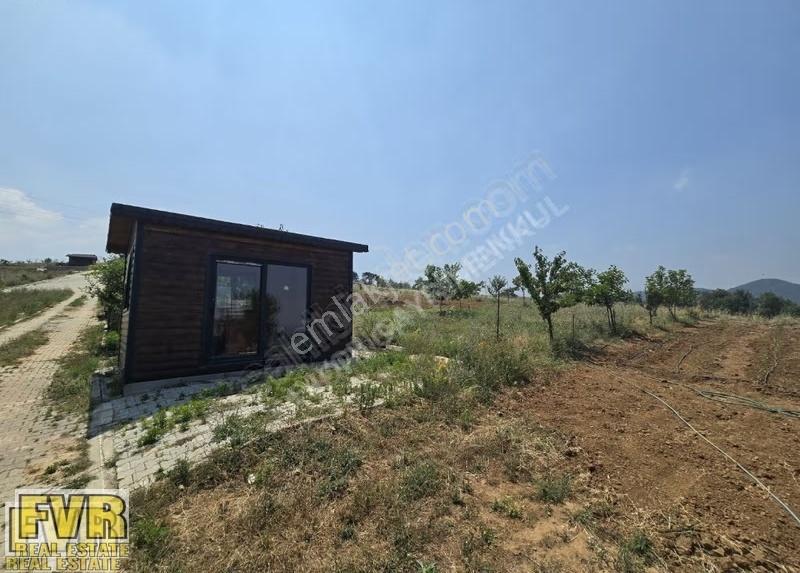 Fvr'den Nilüfer Dağyenice 300 M2 Hobi Bahçesi Kooperatif Hisseli - Görsel 14