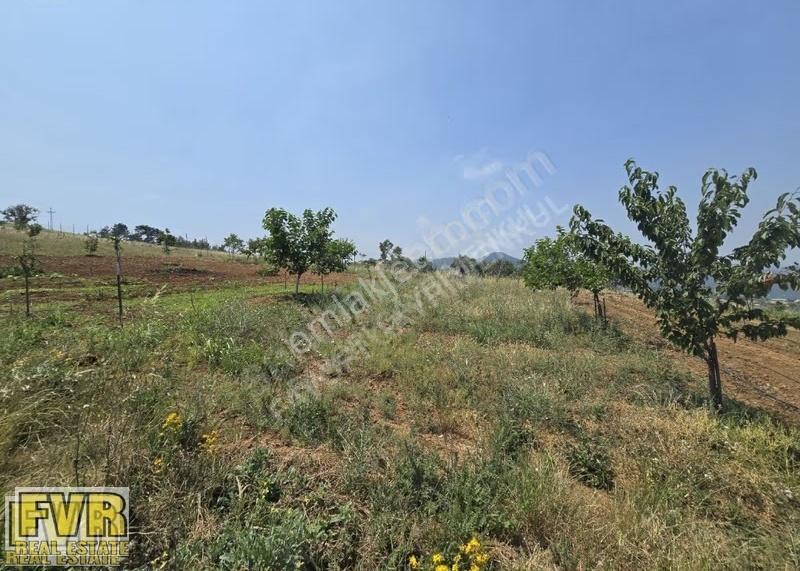 Fvr'den Nilüfer Dağyenice 300 M2 Hobi Bahçesi Kooperatif Hisseli - Görsel 22