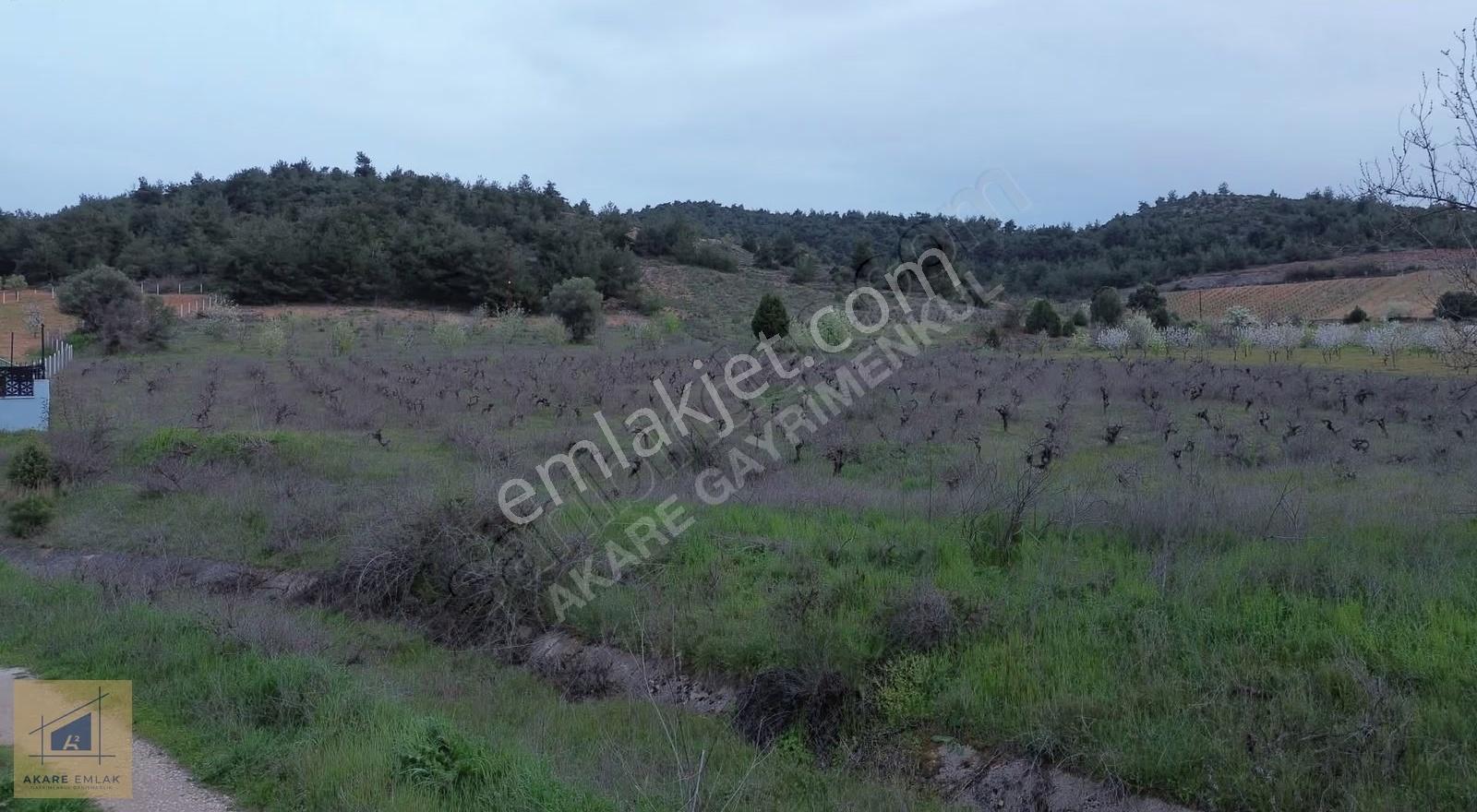 Bilecik Söğüt Küre Köyü'nde 11.023m² Satılık Arazi - Görsel 13