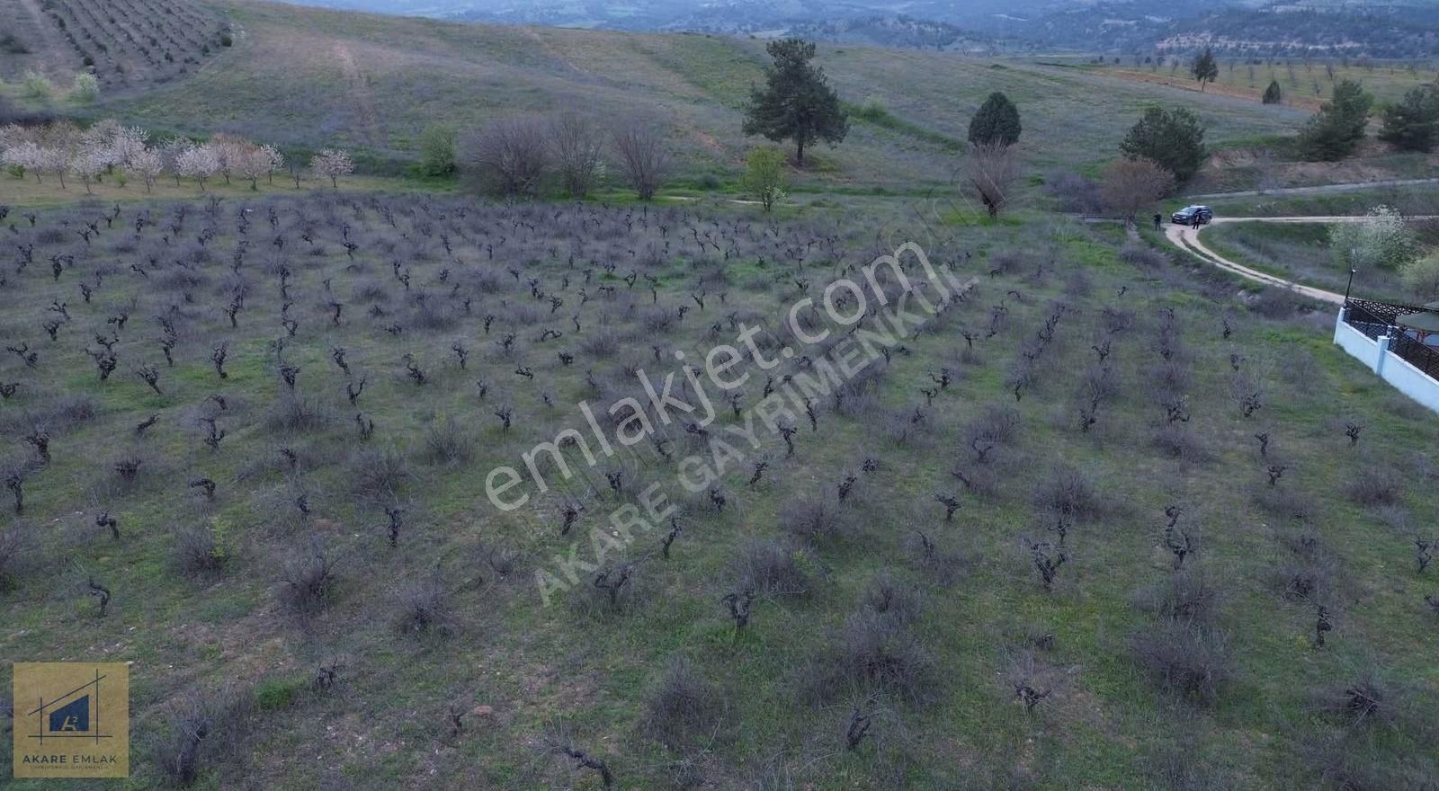Bilecik Söğüt Küre Köyü'nde 11.023m² Satılık Arazi - Görsel 10