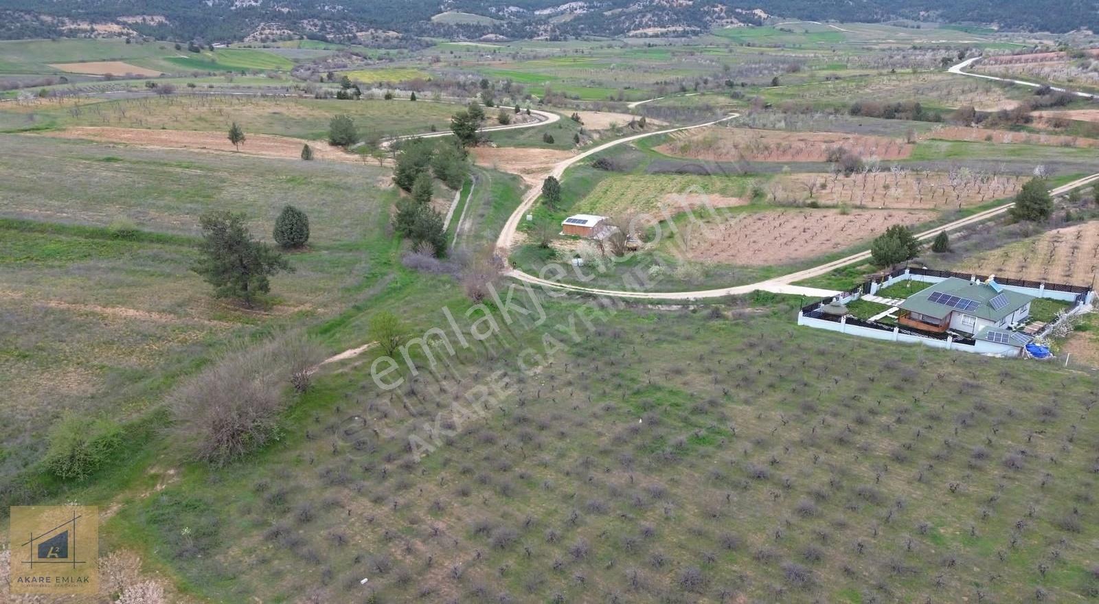Bilecik Söğüt Küre Köyü'nde 11.023m² Satılık Arazi - Görsel 8