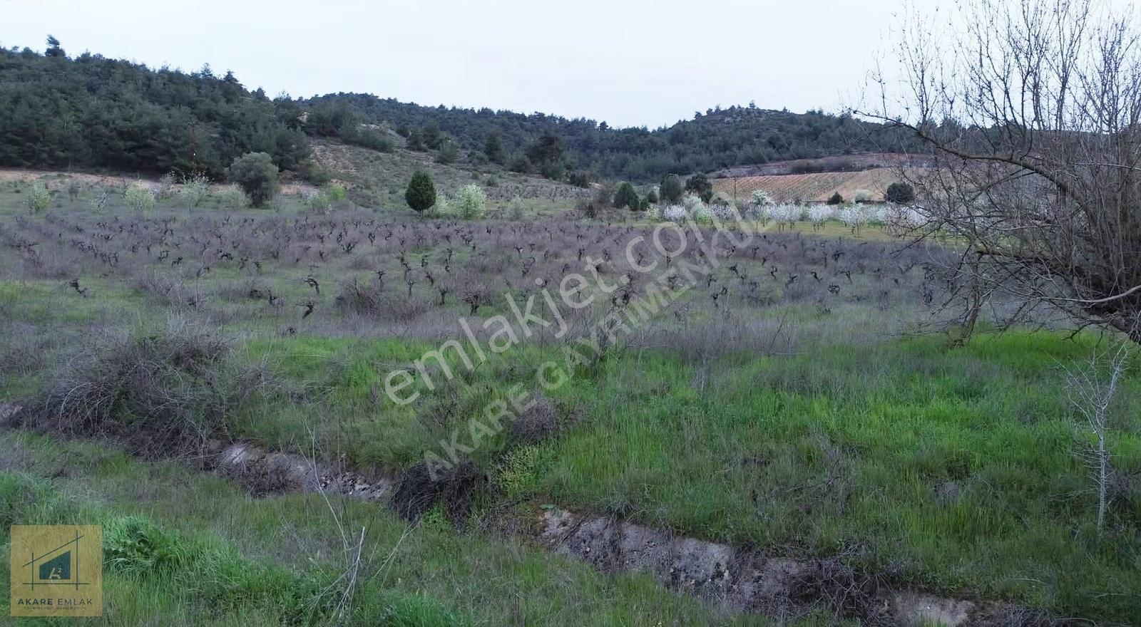 Bilecik Söğüt Küre Köyü'nde 11.023m² Satılık Arazi - Görsel 16