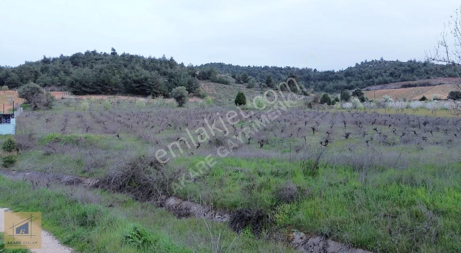 Bilecik Söğüt Küre Köyü'nde 11.023m² Satılık Arazi - Görsel 5