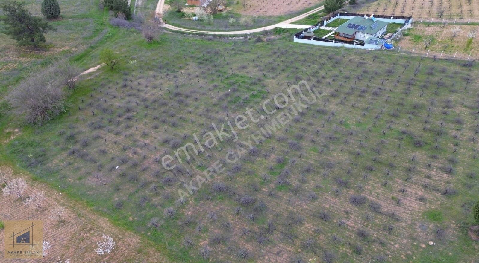 Bilecik Söğüt Küre Köyü'nde 11.023m² Satılık Arazi - Görsel 2