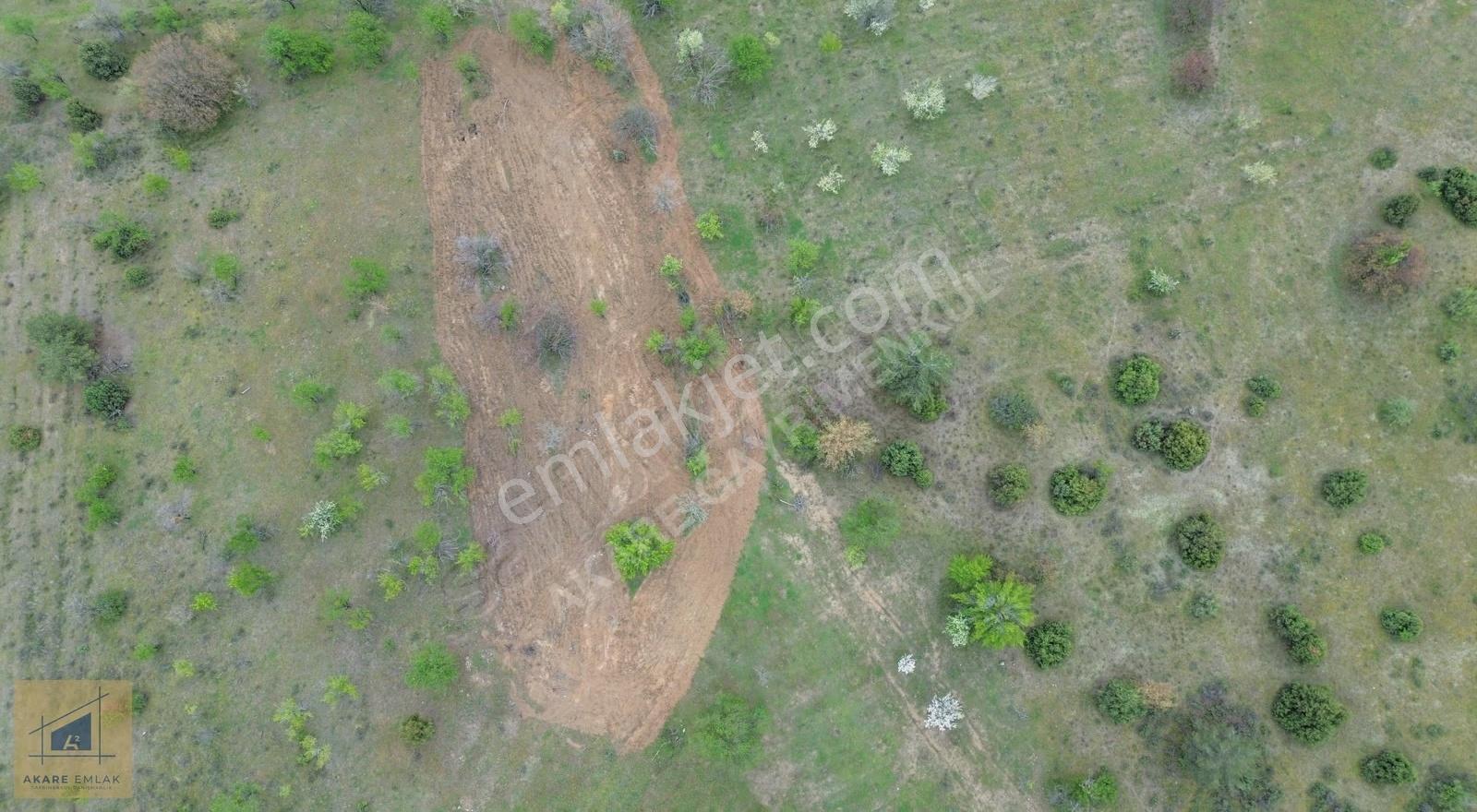 Bilecik Söğüt Hamitabat Köyü'nde Satılık Tarla - 2.696 M² - Görsel 17