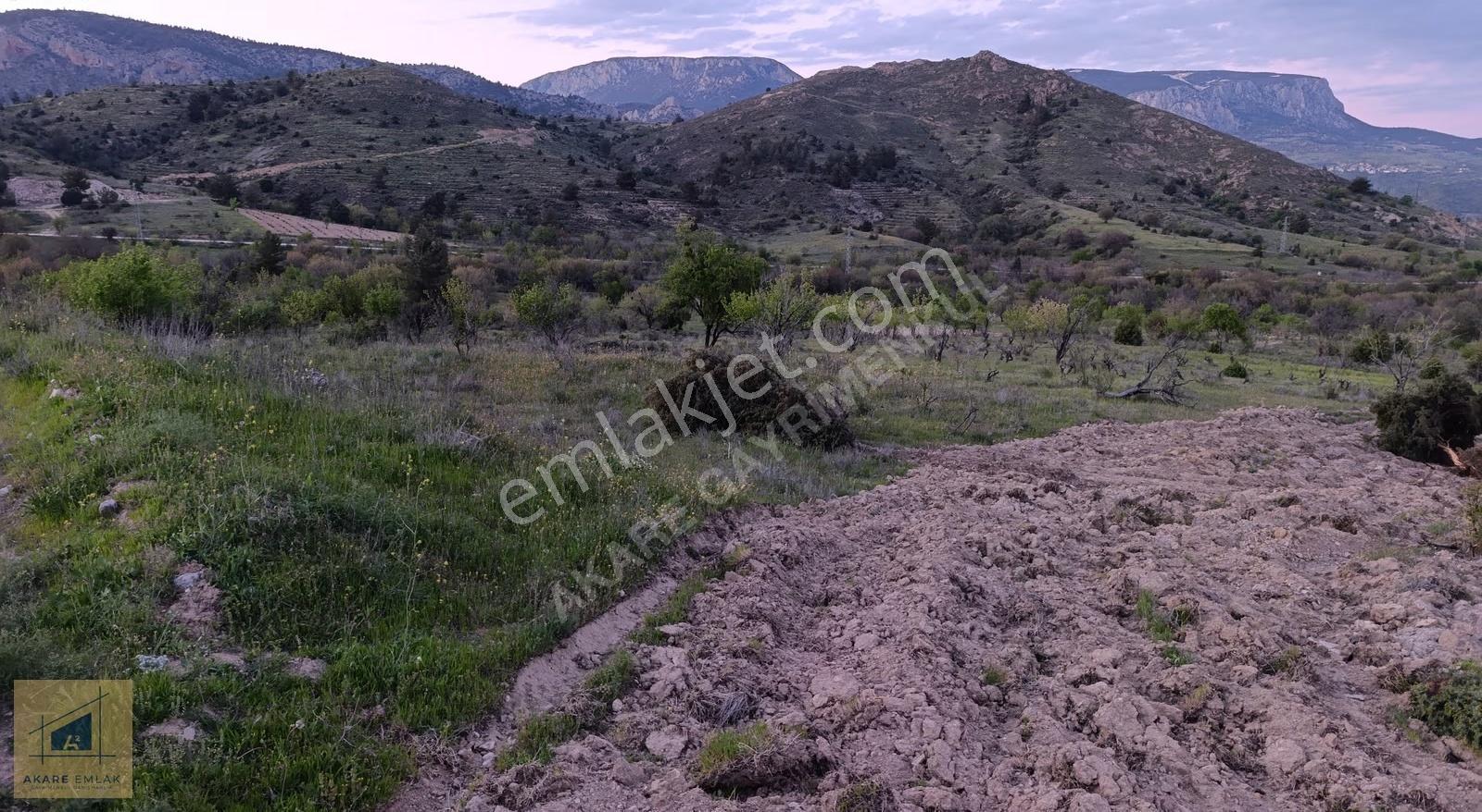 Bilecik Söğüt Hamitabat Köyü'nde Satılık Tarla - 2.696 M² - Görsel 5