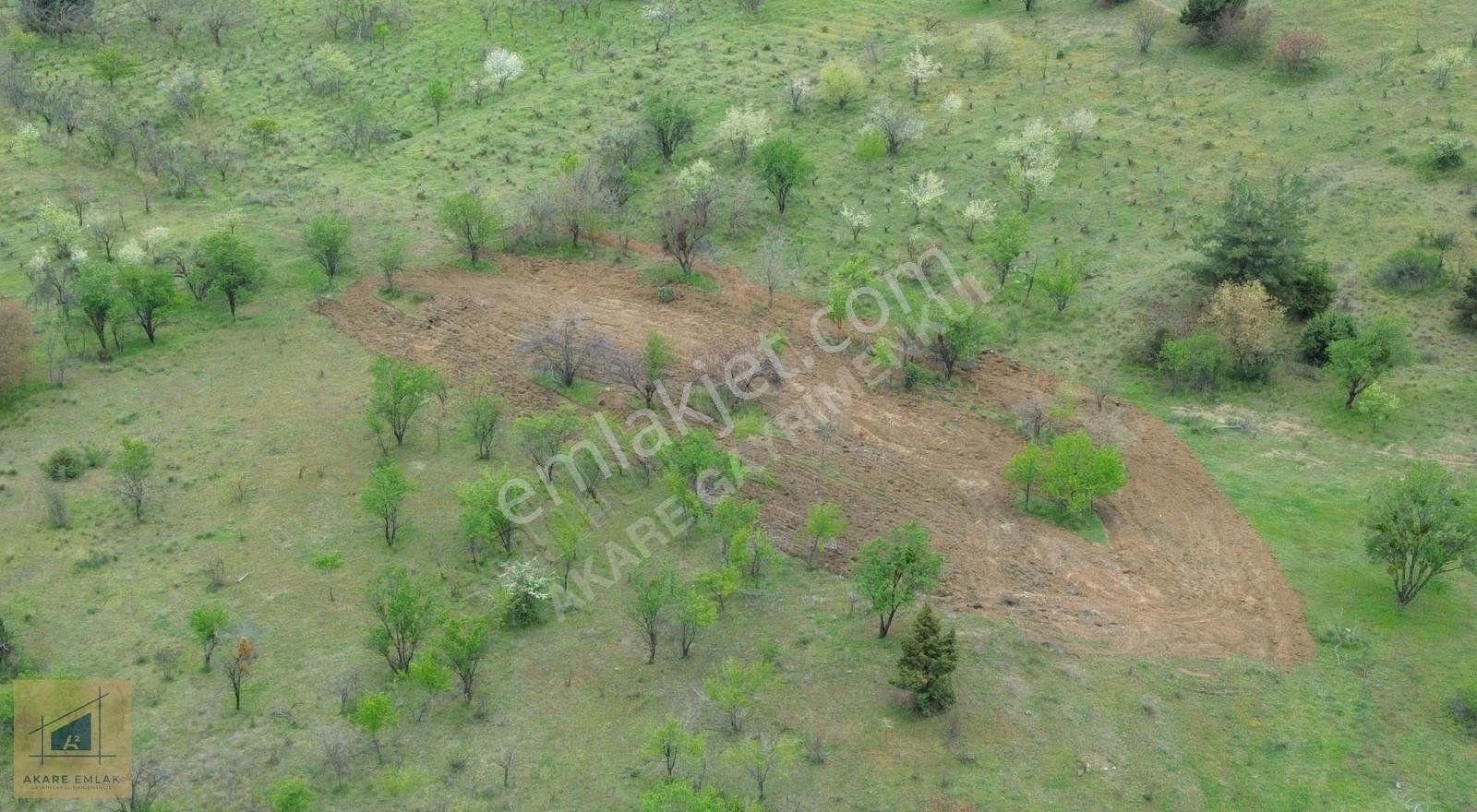 Bilecik Söğüt Hamitabat Köyü'nde Satılık Tarla - 2.696 M² - Görsel 29