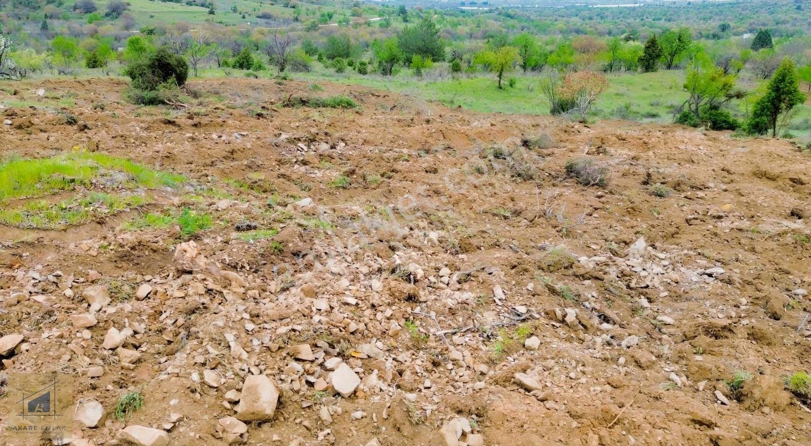 Bilecik Söğüt Hamitabat Köyü'nde Satılık Tarla - 2.696 M² - Görsel 14