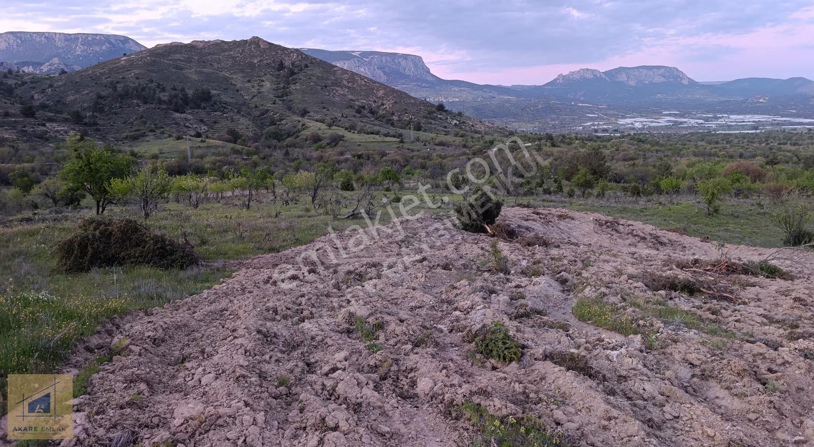 Bilecik Söğüt Hamitabat Köyü'nde Satılık Tarla - 2.696 M² - Görsel 20