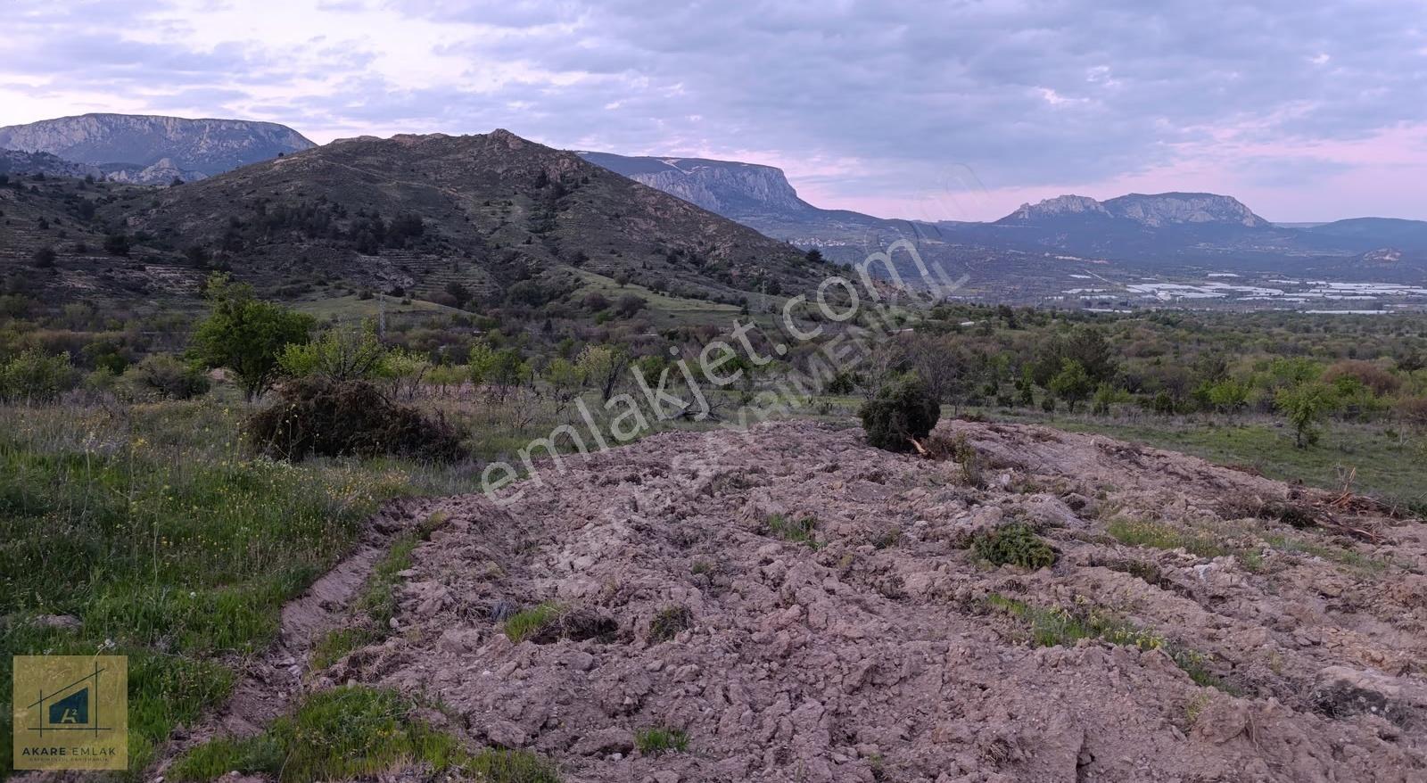 Bilecik Söğüt Hamitabat Köyü'nde Satılık Tarla - 2.696 M²