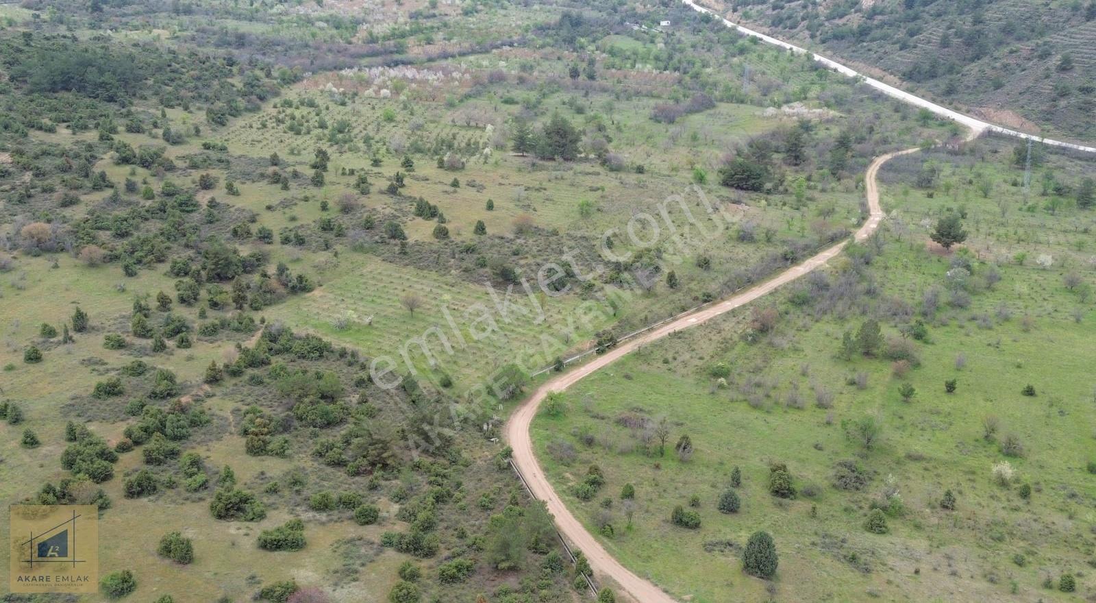 Bilecik Söğüt Hamitabat Köyü'nde Satılık Tarla - 2.696 M² - Görsel 28