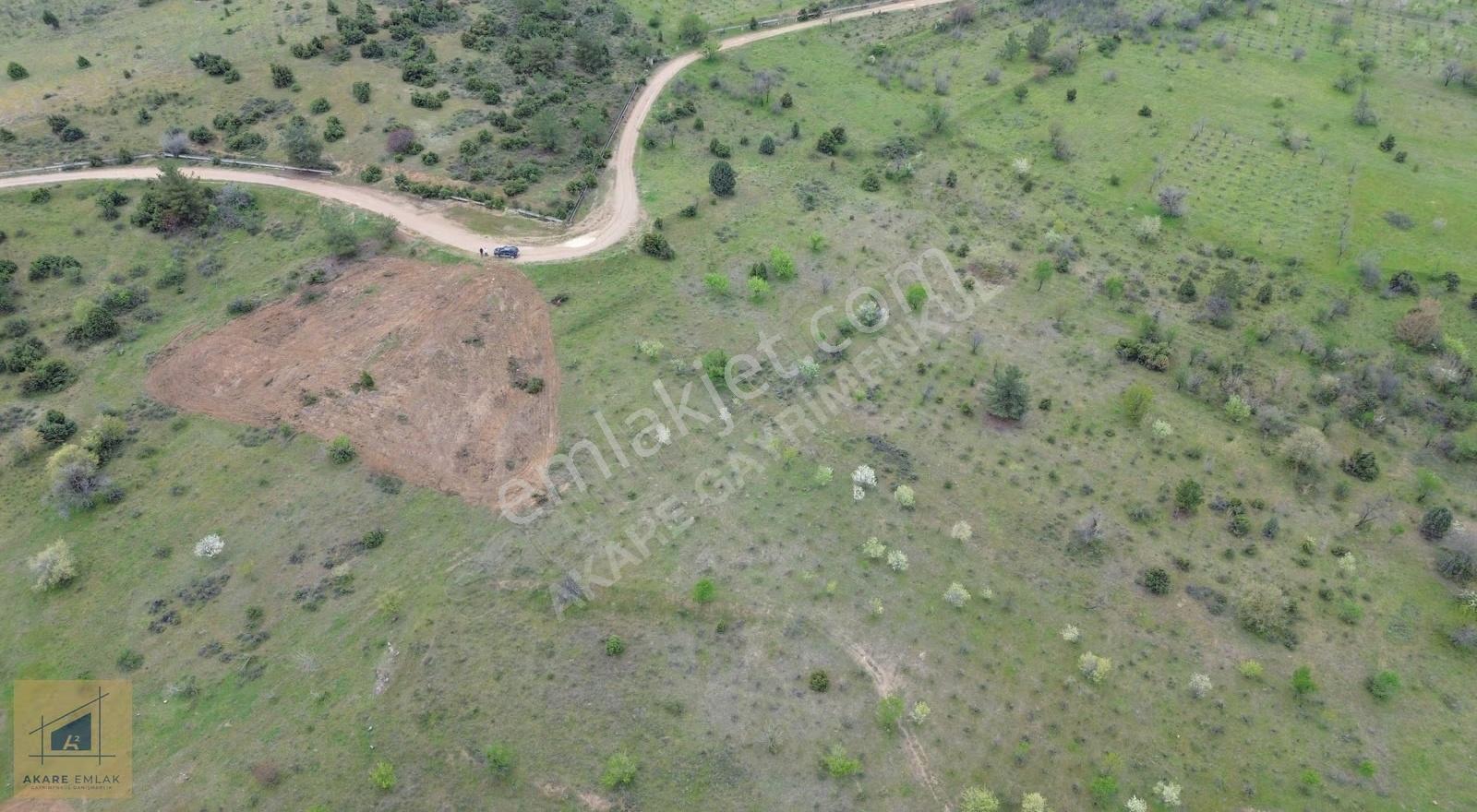 Bilecik Söğüt Hamitabat Köyü'nde Satılık Tarla - 2.696 M² - Görsel 8