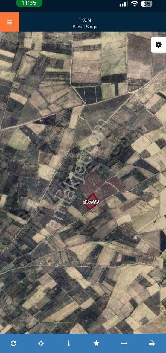 Sultandag Yatırmlık Ve Gelir Getirili İçinde Evli Kiraz Bahçesi - Görsel 2