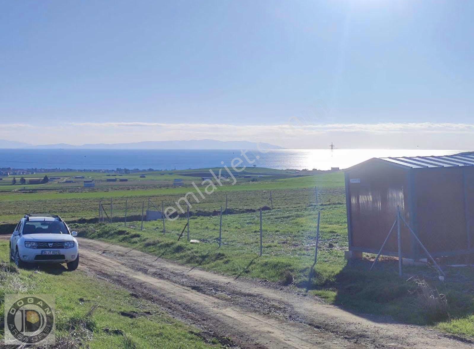 Deniz Mazaralı Satılık 250-500-750 Ve 1.000m² Arsalar - Görsel 27