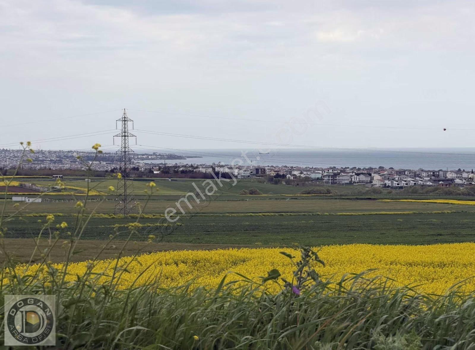 Deniz Mazaralı Satılık 250-500-750 Ve 1.000m² Arsalar - Görsel 11