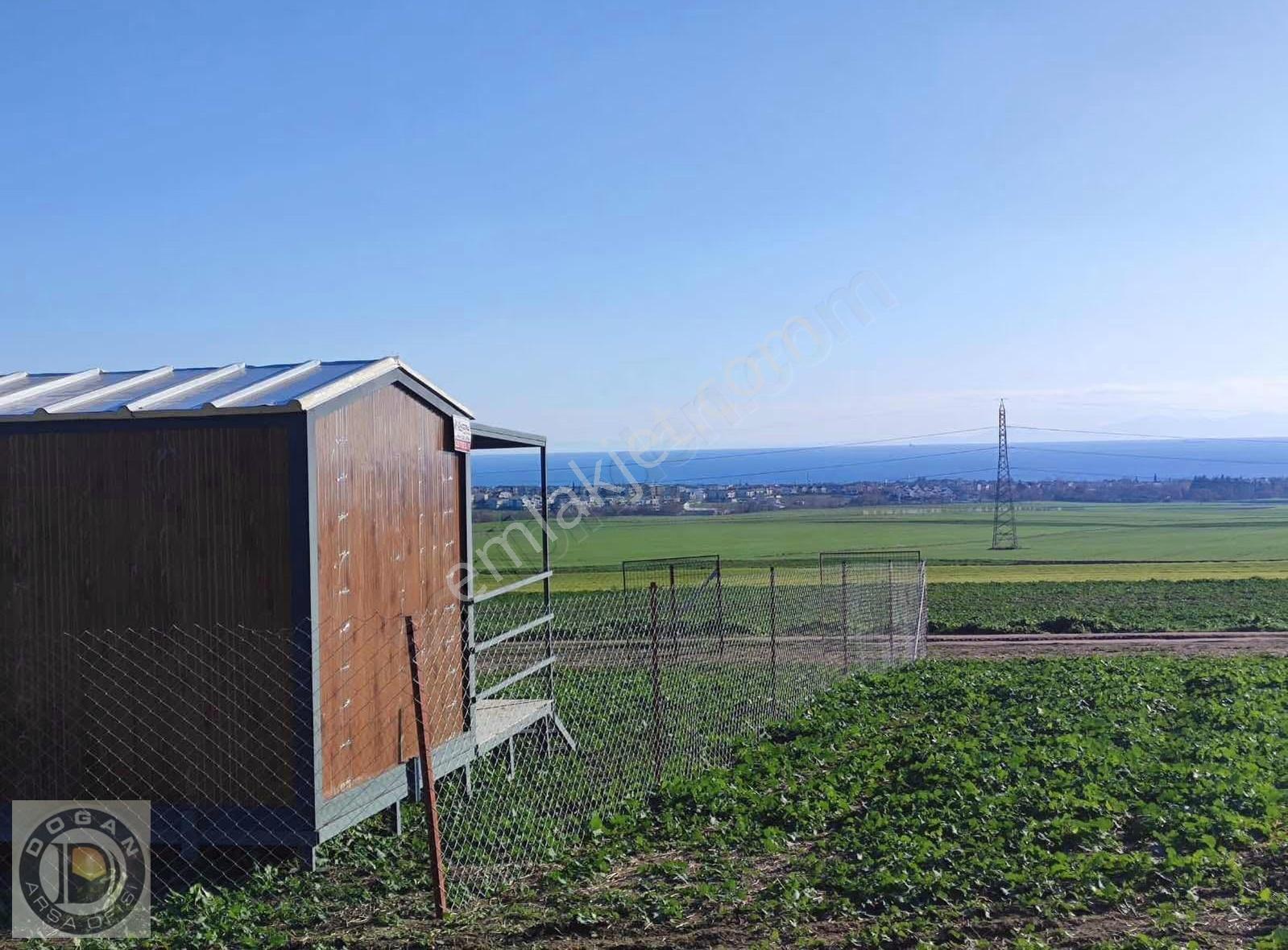Deniz Mazaralı Satılık 250-500-750 Ve 1.000m² Arsalar - Görsel 17
