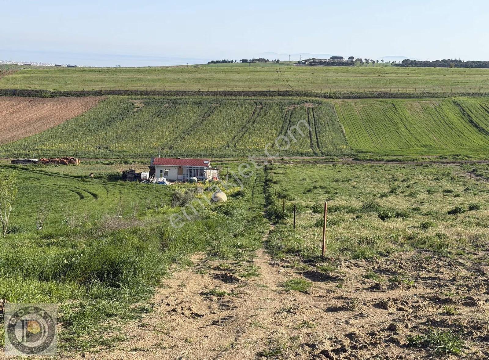 Tekirdağ Yeni Çiflik De 300m Ful Deniz Manzaralı Satılık Arsalar - Görsel 27