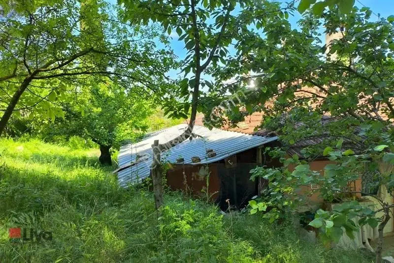▓ Altıeylül Kiraz Mah.de Satılık Köy Evi Ve Arsası ▓ - Görsel 4